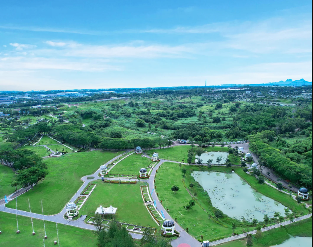 Garden Creation San Diego Hills