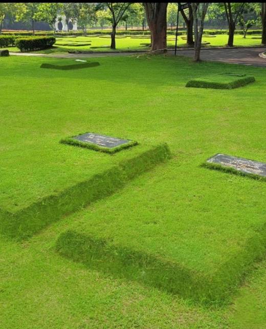 Single Burial - Muslim Area - San Diego Hills